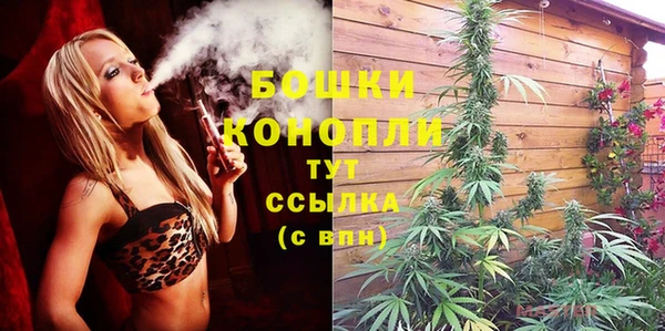 тгк Пестово
