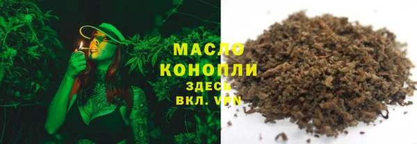 молекула духа Осташков