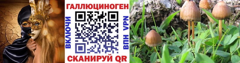 сколько стоит  Нижняя Салда  Галлюциногенные грибы Magic Shrooms 